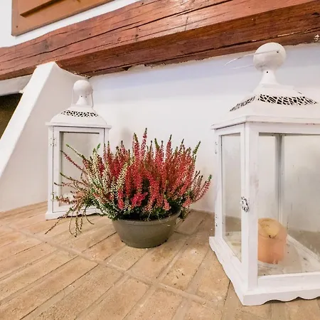 Feel - Salvecchio Apartment