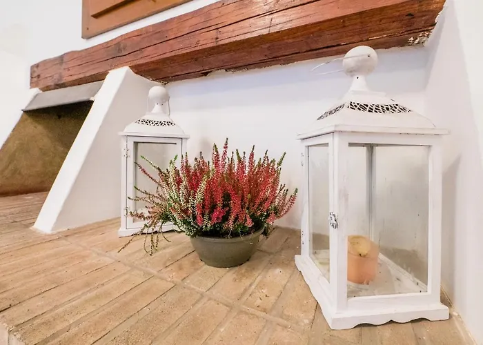 Feel - Salvecchio Daire